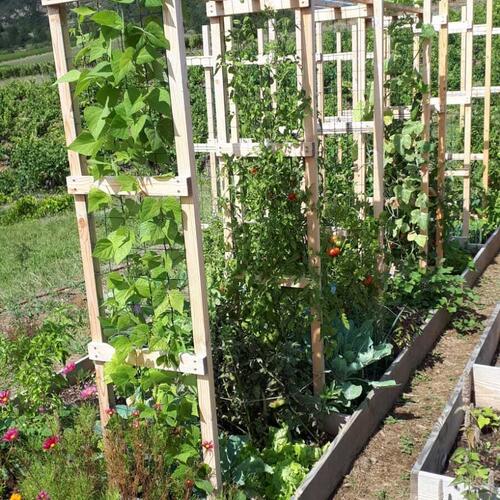 Jardin en polyculture étagée