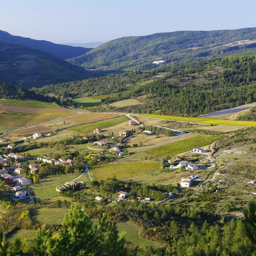 _COL0272.JPG