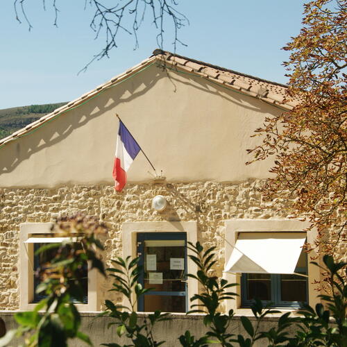 Mairie à travers les branches.JPG