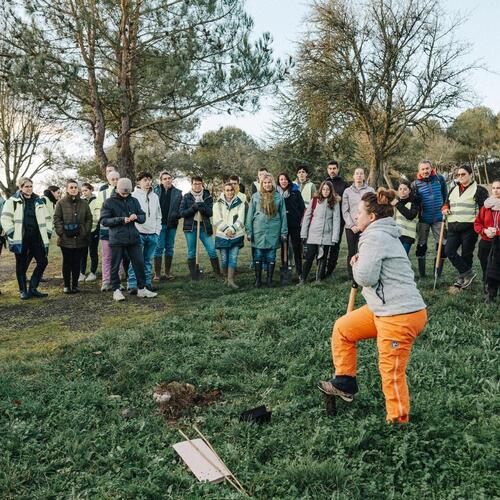 WhatsApp Image 2025-01-11 at 18.33.58 (3).jpeg