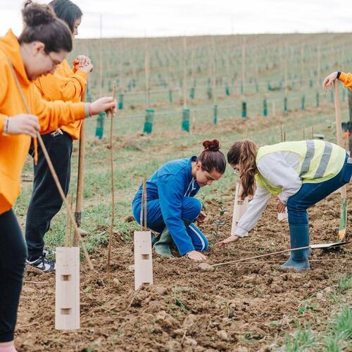 WhatsApp Image 2025-01-11 at 18.36.12 (2).jpeg