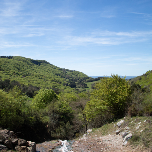 Sougraigne domaine de l'eau salée 2026 ©Dan Vesco (19).jpg